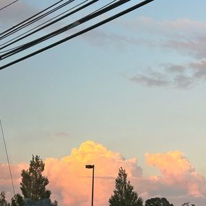 Meet your Posher, Ava